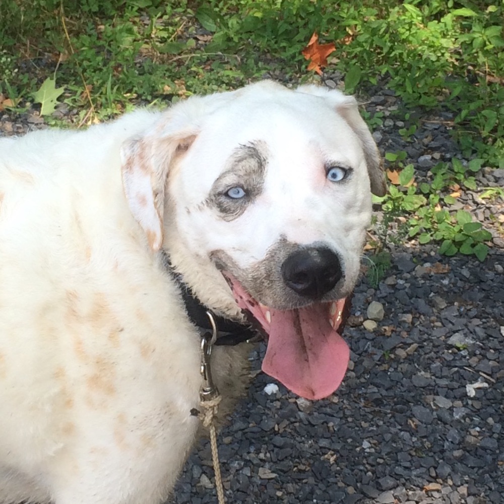 Meet your Posher, Daniel